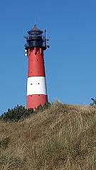 Sylt (137)